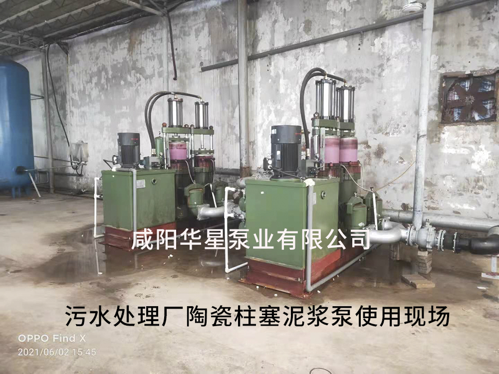 廣東陶(tao)瓷柱塞(sai)泵