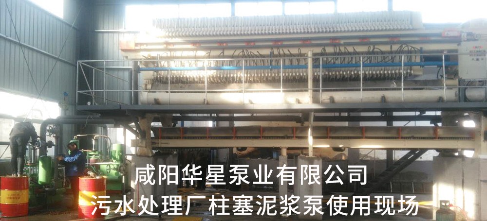 河(he)南蘭考市(shi)政污水處(chu)理-水印