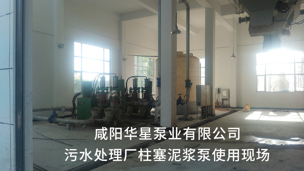 湖(hu)北仙桃污(wu)水處理廠(chang)1-水印