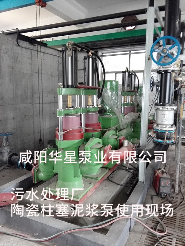 山東淄(zi)博光大水(shui)務-市政污(wu)水處理-水(shui)印2