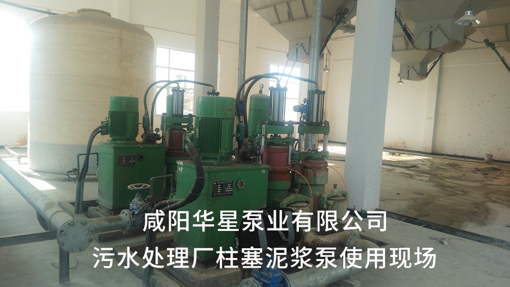 湖北(bei)仙桃污水(shui)處理廠2-水(shui)印