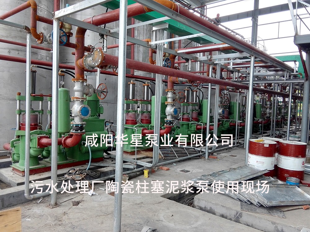 山東淄(zi)博光大水(shui)務-市政污(wu)水處理-水(shui)印1