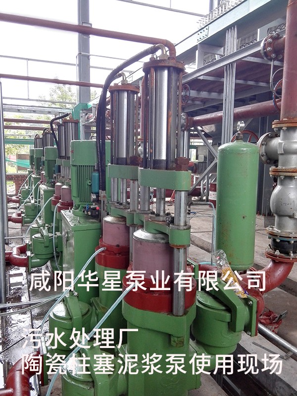 山東淄(zi)博光大水(shui)務-市政污(wu)水處理-水(shui)印5