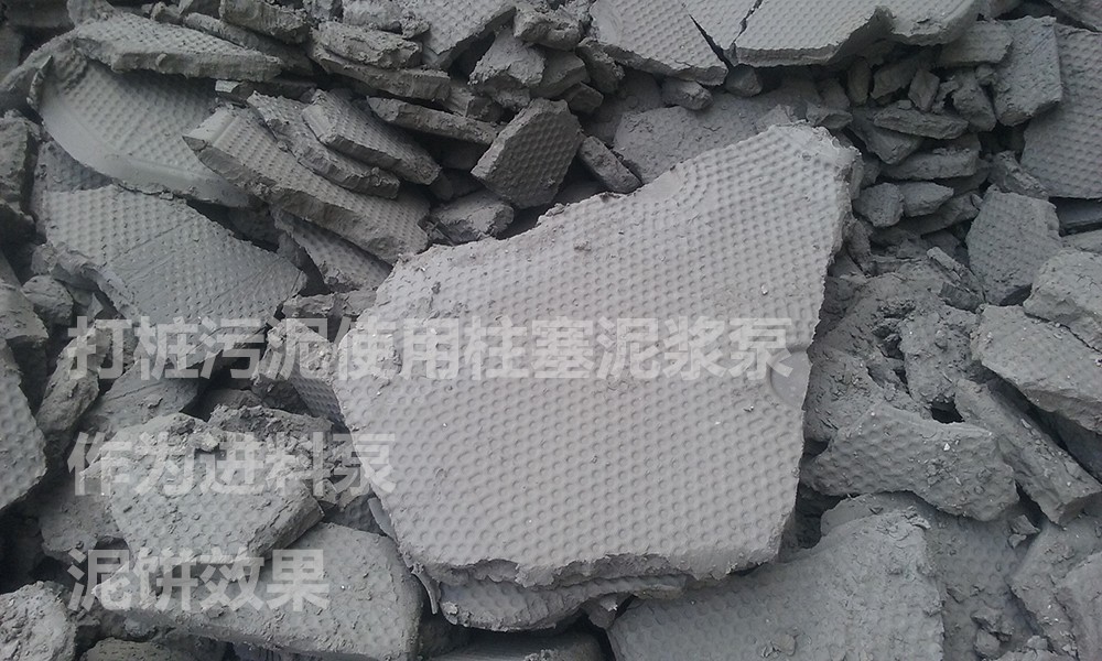 處理後的(de)泥餅6