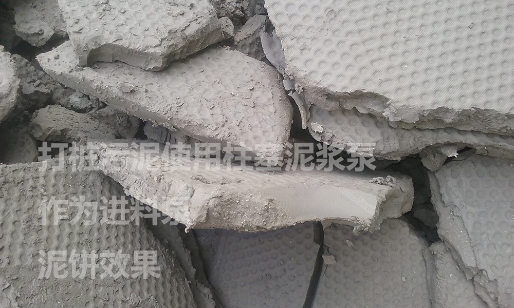 處理(li)後的泥餅(bing)5