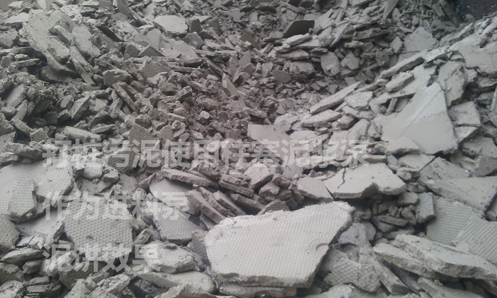 處理後的(de)泥餅4