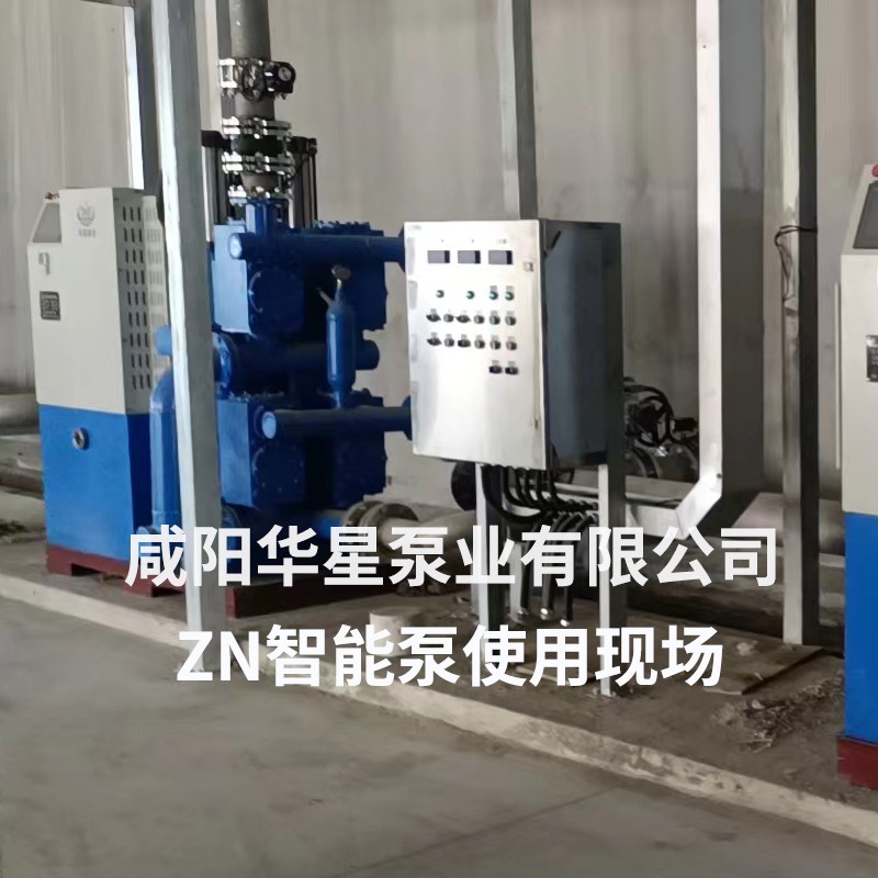 智能(neng)泵-安(an)裝現(xian)場5