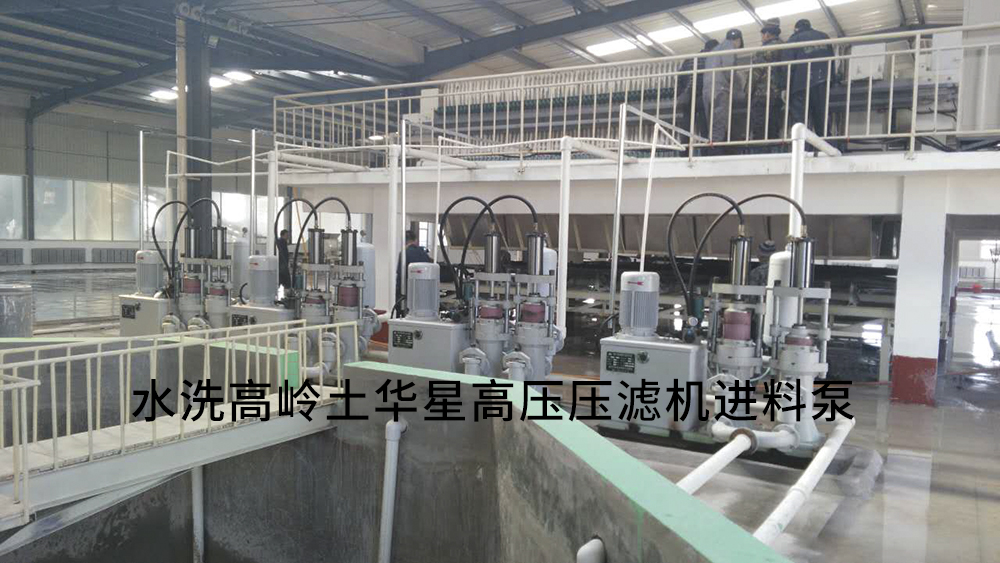 水洗高(gao)嶺土陶(tao)瓷柱塞(sai)泵