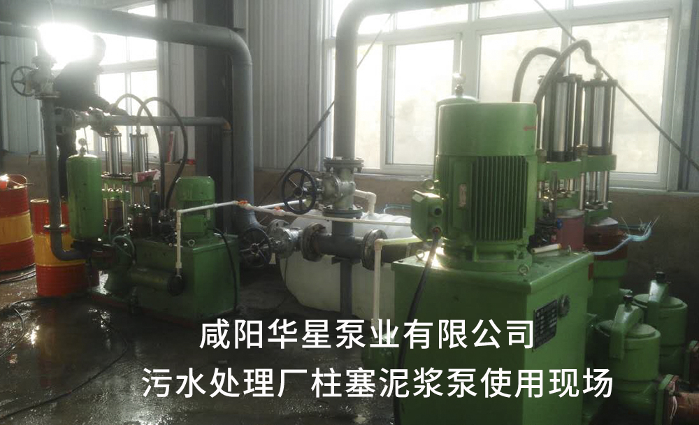 污水(shui)處理(li)廠用(yong)陶瓷(ci)柱塞(sai)泥漿(jiang)泵