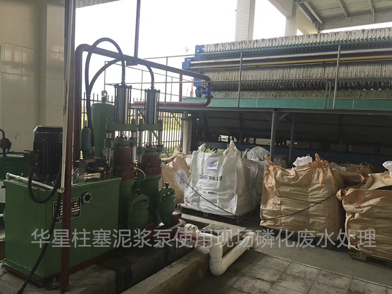 壓濾(lü)機入料泵(beng)有兩種密(mi)封形式