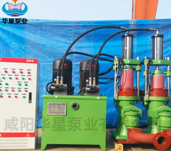 陶瓷(ci)柱塞(sai)雙缸(gang)泵