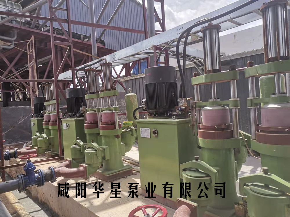 洗沙(sha)污水(shui)處理(li)用陶(tao)瓷柱(zhu)塞泥(ni)漿泵(beng)