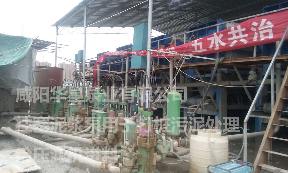 陶瓷柱(zhu)塞泵說(shuo)明書